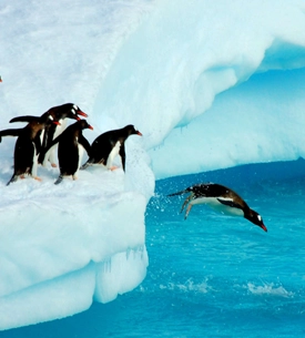 antarctica